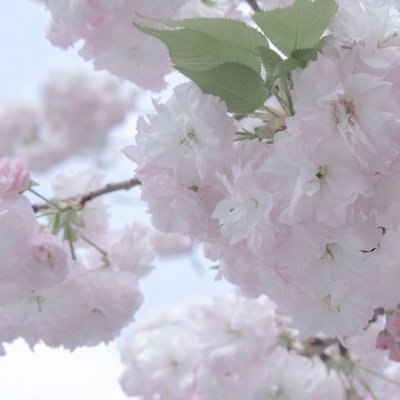 Furry绘画光影灵感Furry群